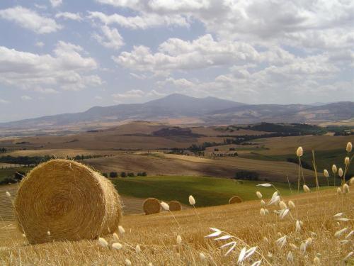 Agriturismo Colombaiolo Пиенца Экстерьер фото