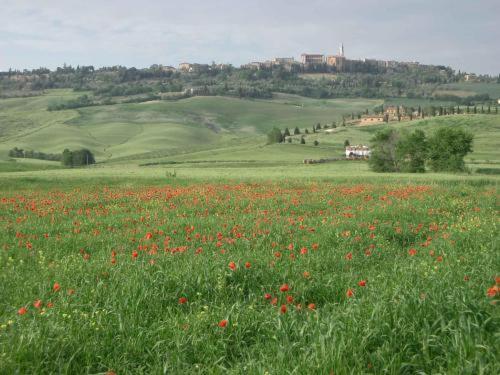 Agriturismo Colombaiolo Пиенца Экстерьер фото